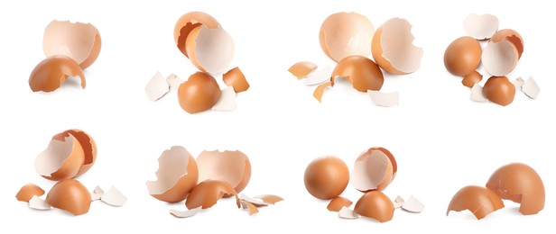 Eggs and cracked shells on white background, set