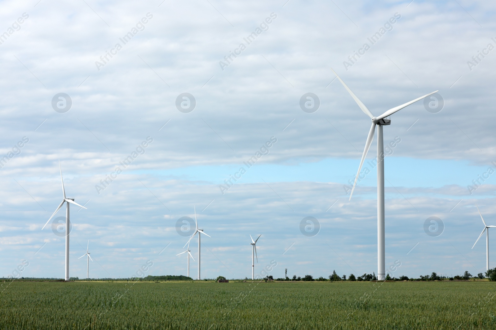 Photo of Beautiful view of field with wind turbines. Alternative energy source