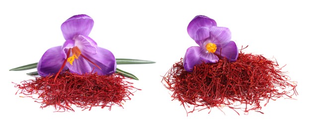 Dried saffron and crocus flowers on white background. Banner design 