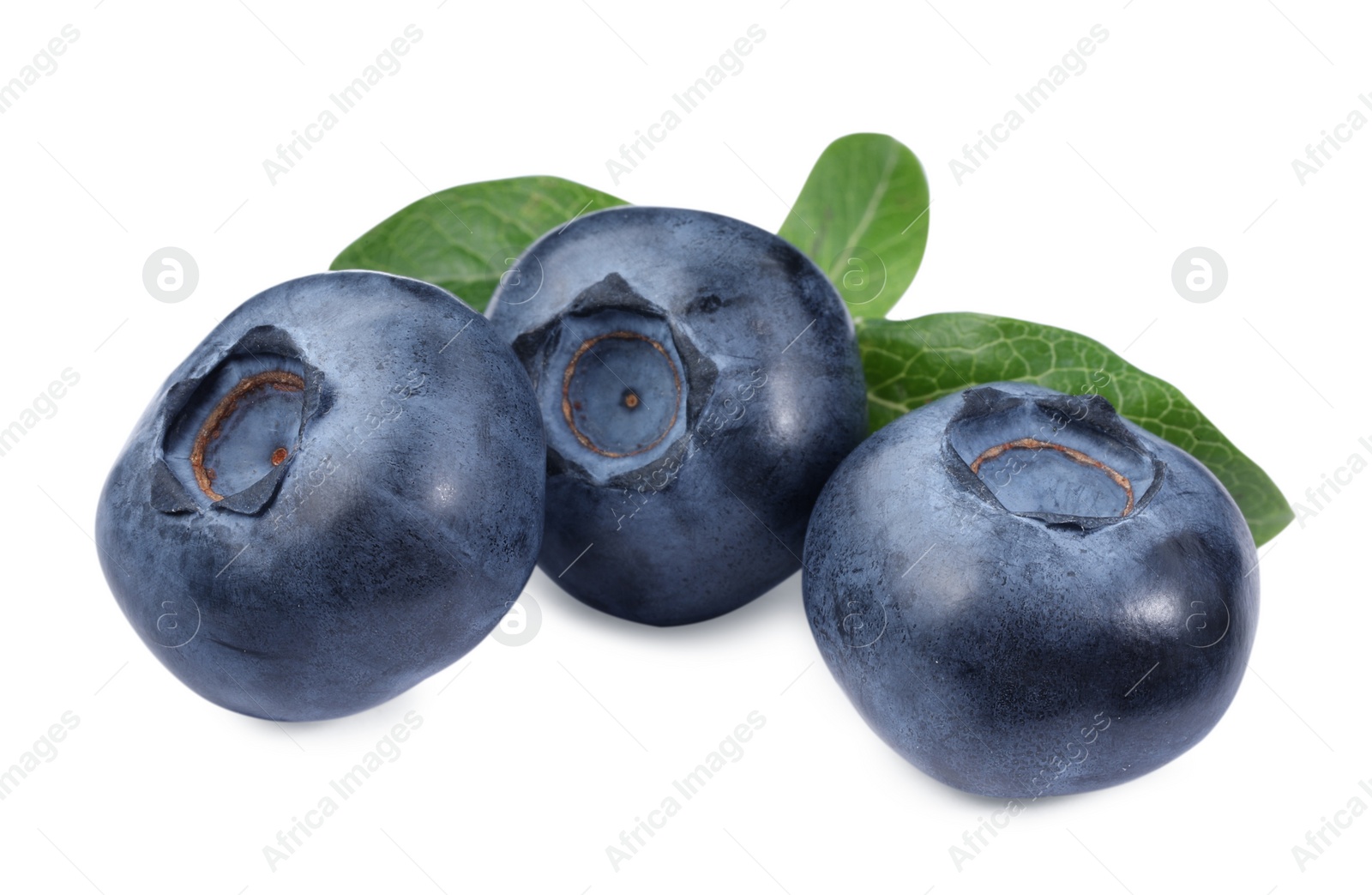 Photo of Many fresh ripe blueberries and leaves isolated on white