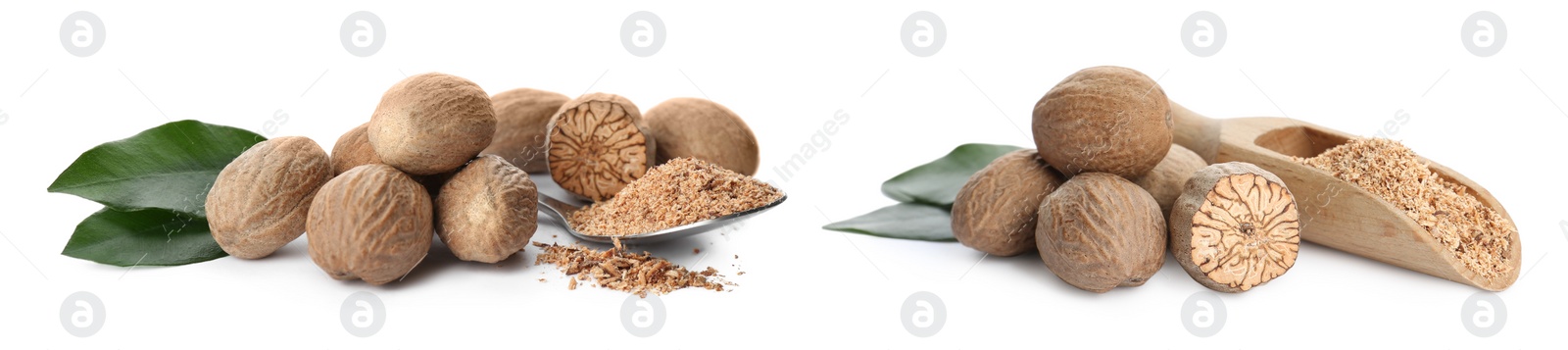 Image of Set with nutmeg seeds on white background. Banner design