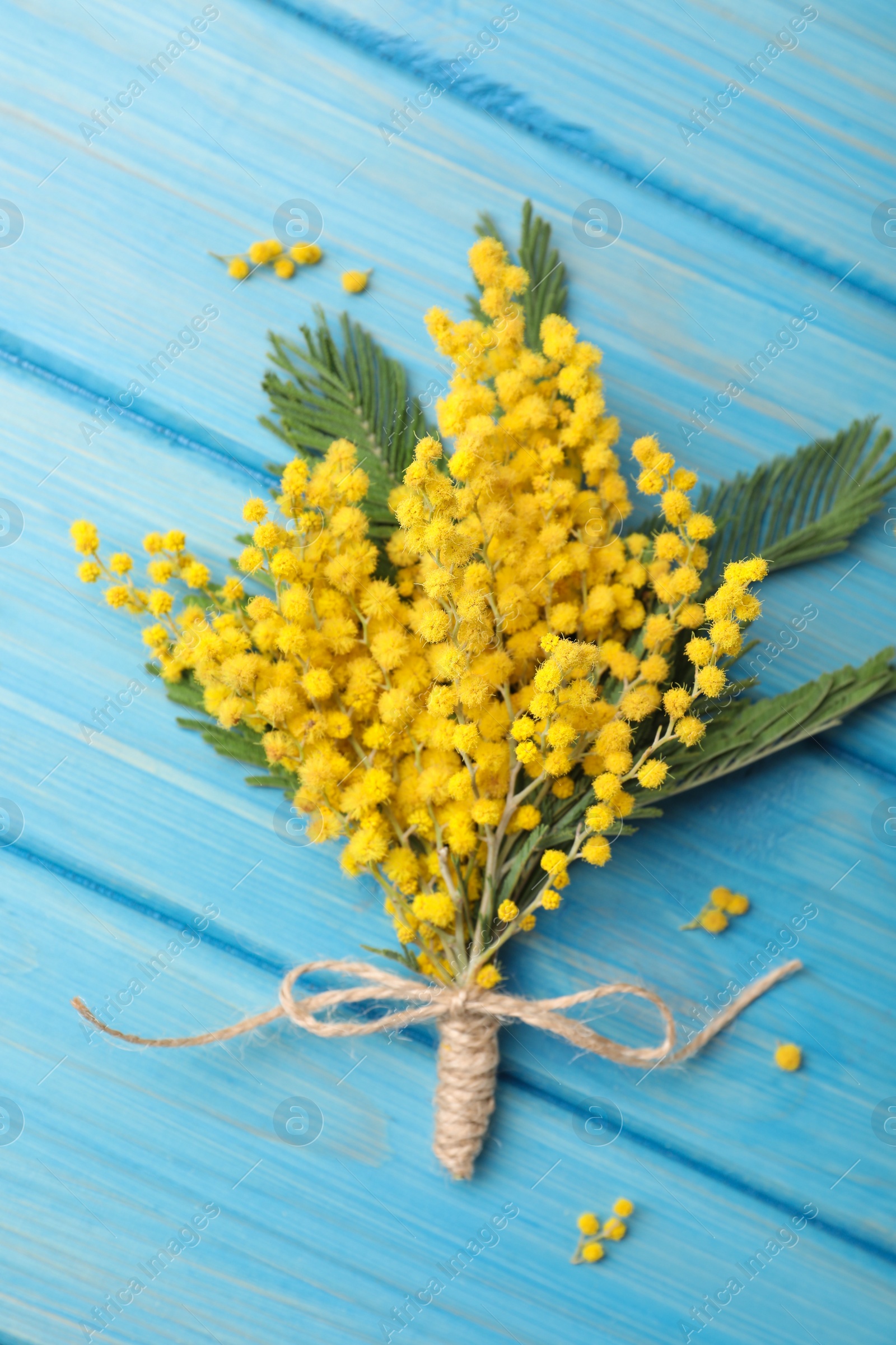Photo of Beautiful mimosa flowers on light blue wooden table, flat lay