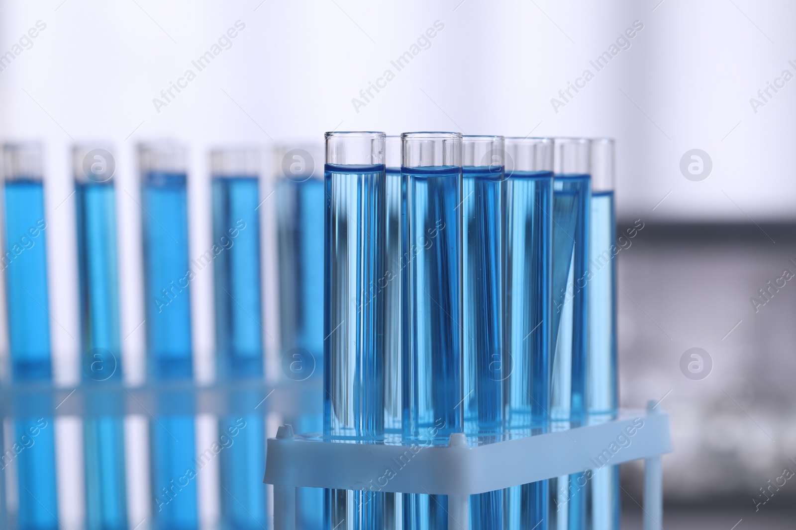 Photo of Test tubes with reagents in rack on blurred background, closeup. Laboratory analysis