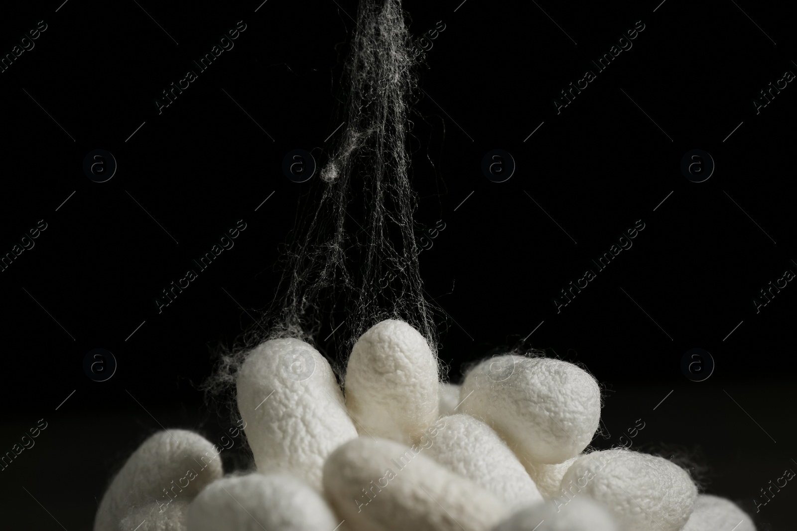 Photo of Heap of white silk cocoons on black background, closeup