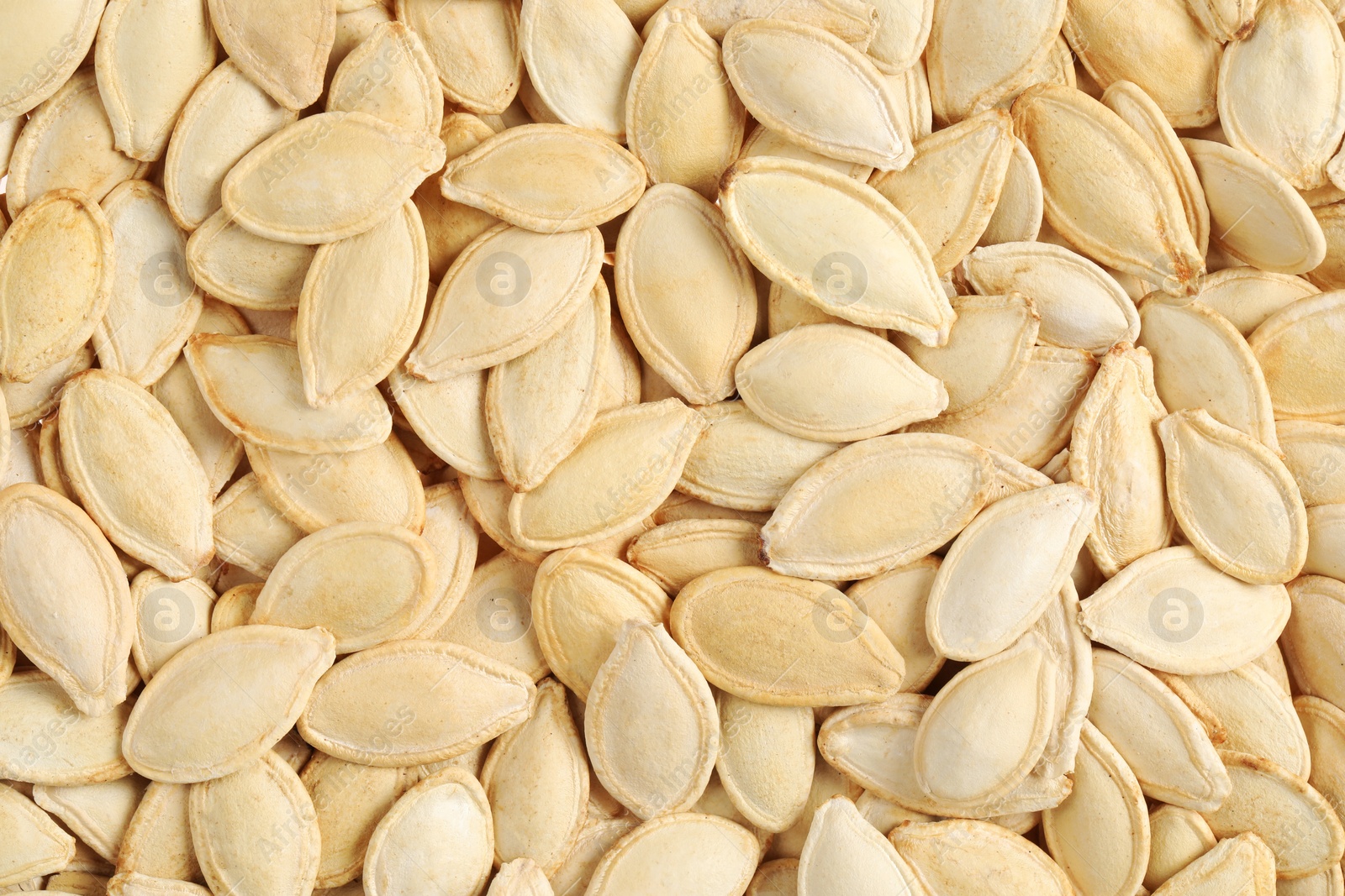 Photo of Many pumpkin seeds as background, top view