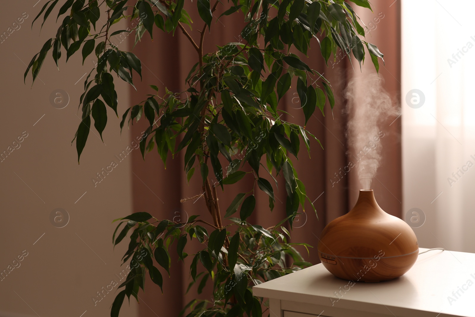 Photo of Air humidifier near houseplant on white table indoors