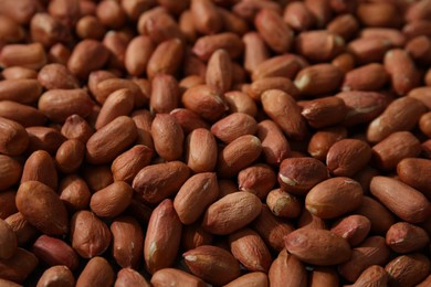 Many fresh unpeeled peanuts as background, closeup