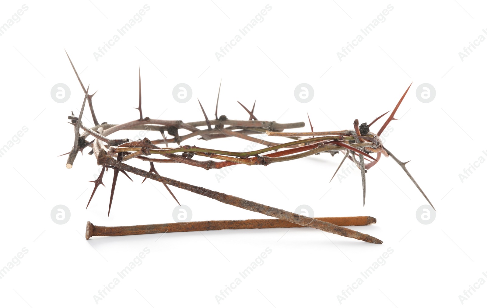 Photo of Crown of thorns and nails on white background. Easter attributes