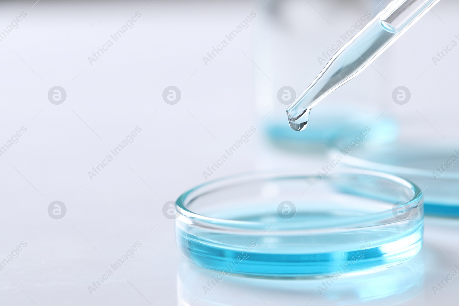 Photo of Dripping liquid from pipette into petri dish at white table, closeup. Space for text