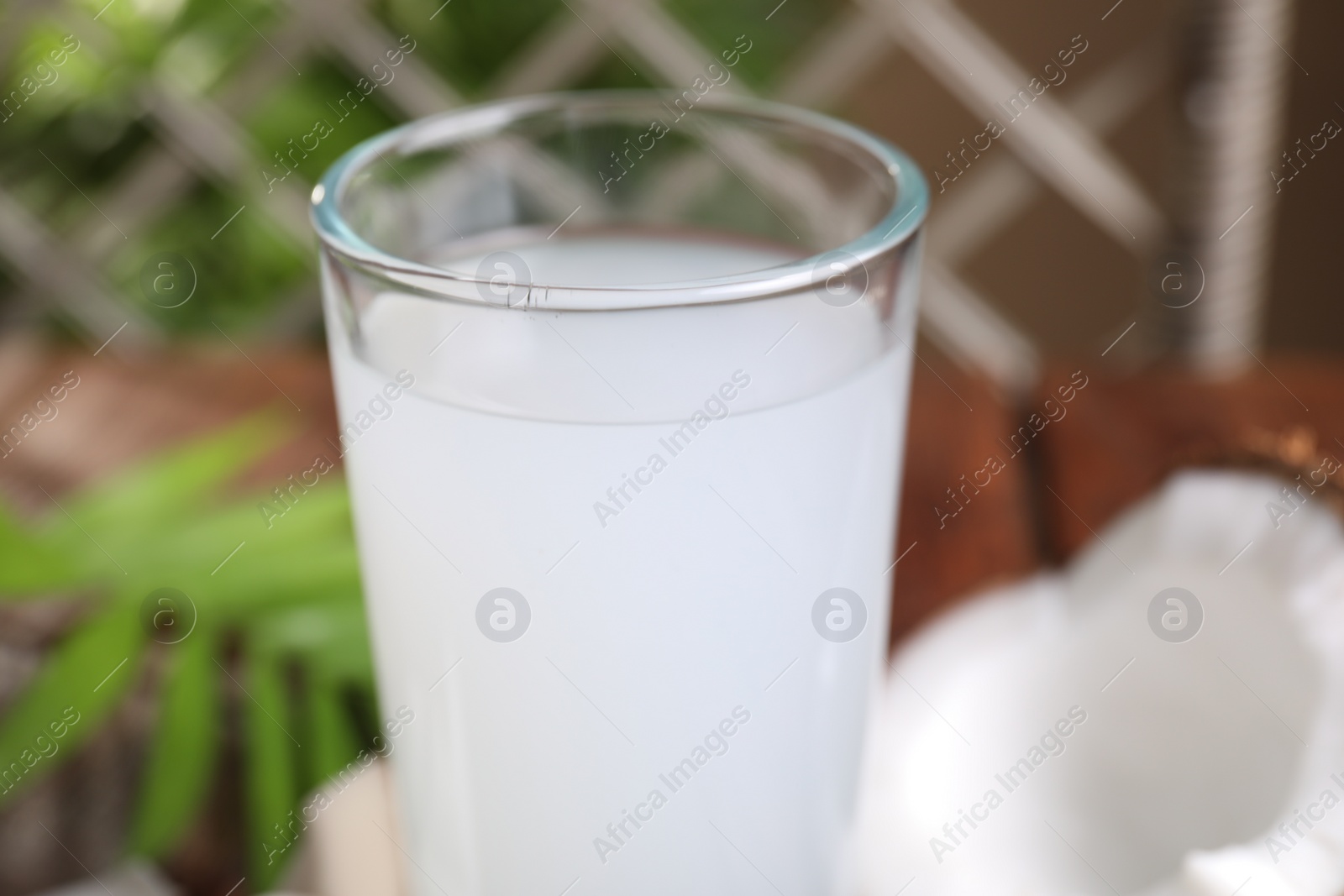 Photo of Glass of coconut water on table, closeup