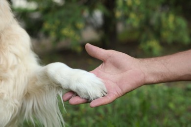 Photo of Man holding dog's paw in park, closeup