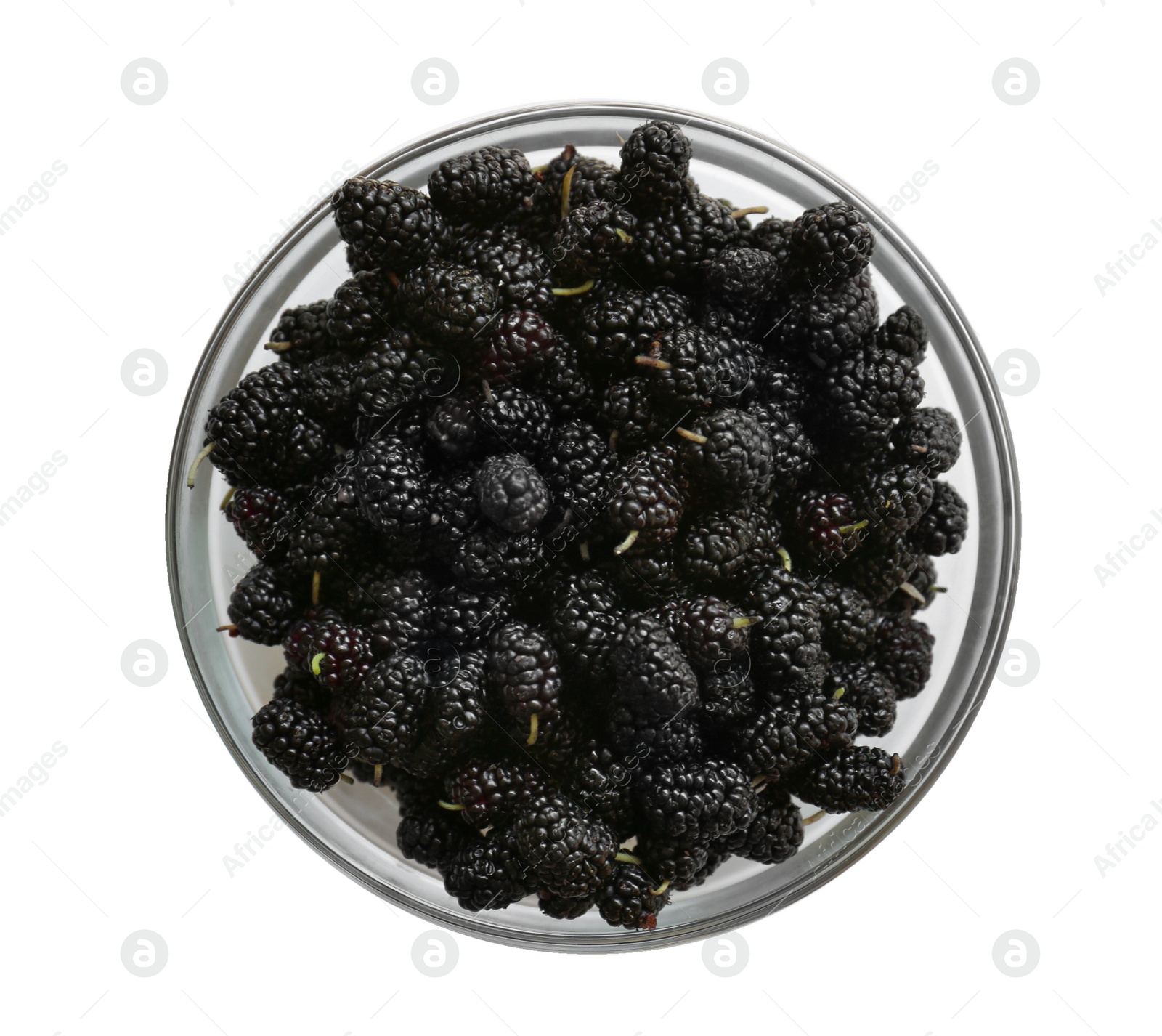 Photo of Bowl of delicious ripe black mulberries on white background, top view
