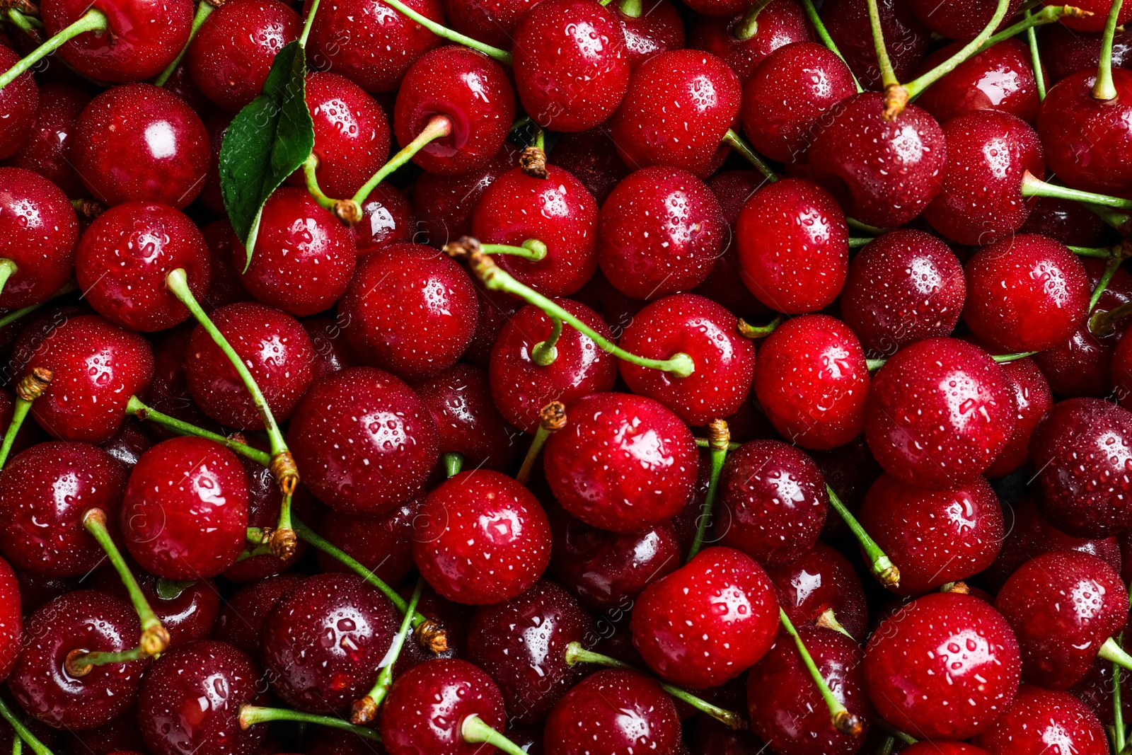 Photo of Sweet red cherries with water drops as background, closeup