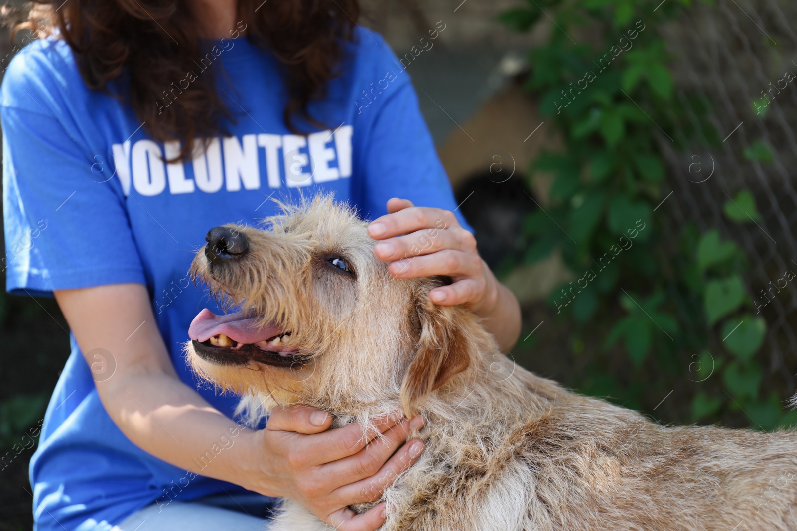 Photo of Volunteer with homeless dog in animal shelter, closeup