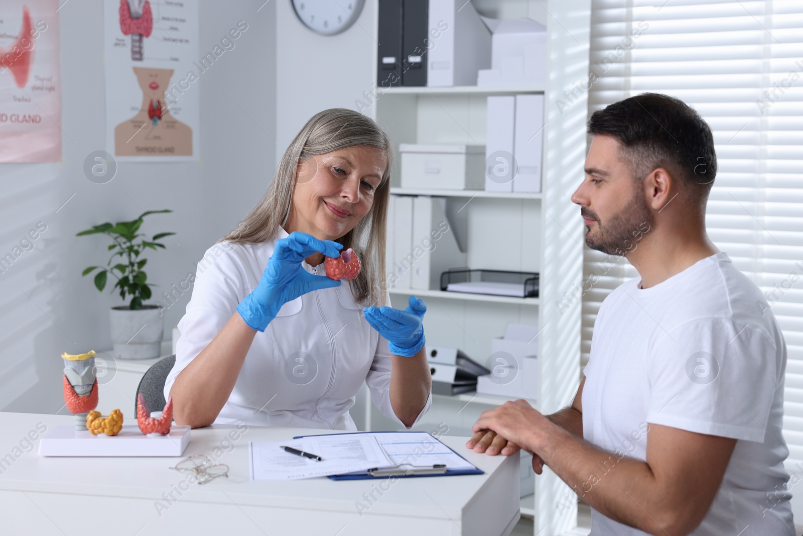 Photo of Endocrinologist showing thyroid gland model to patient at table in hospital