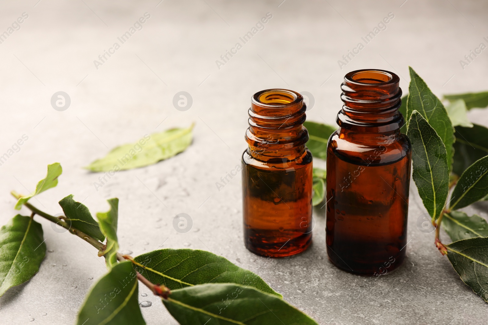 Photo of Bottles of bay essential oil and fresh leaves on light grey table