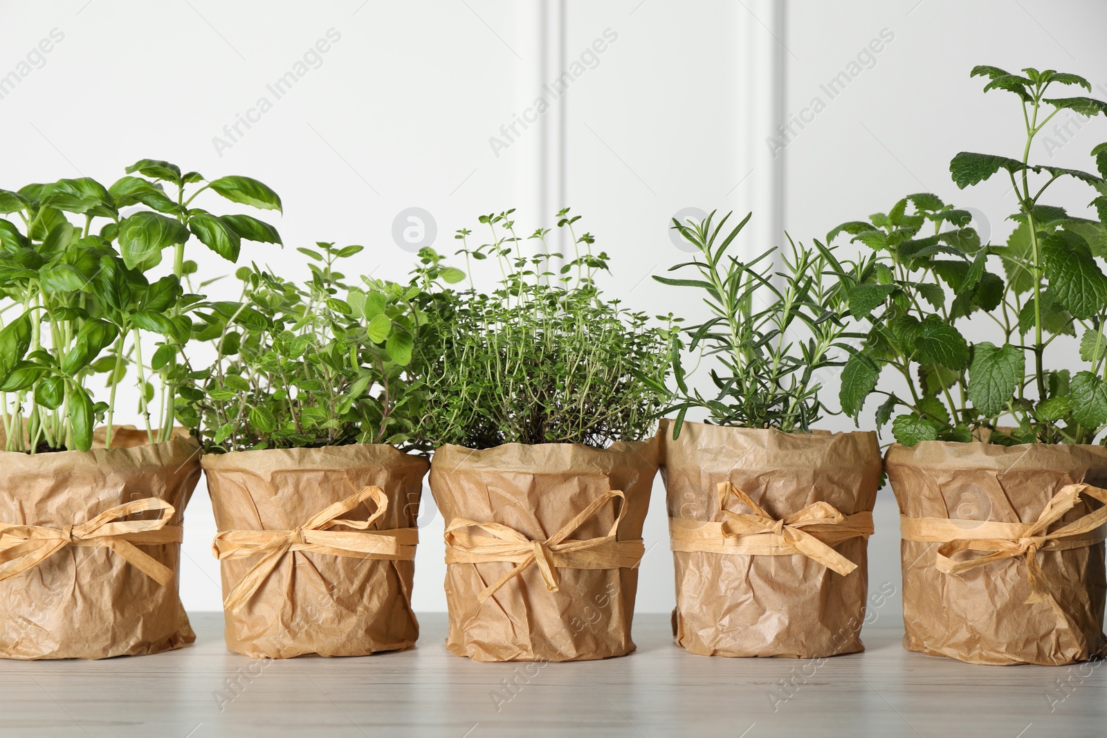 Photo of Different aromatic potted herbs on floor near white wall