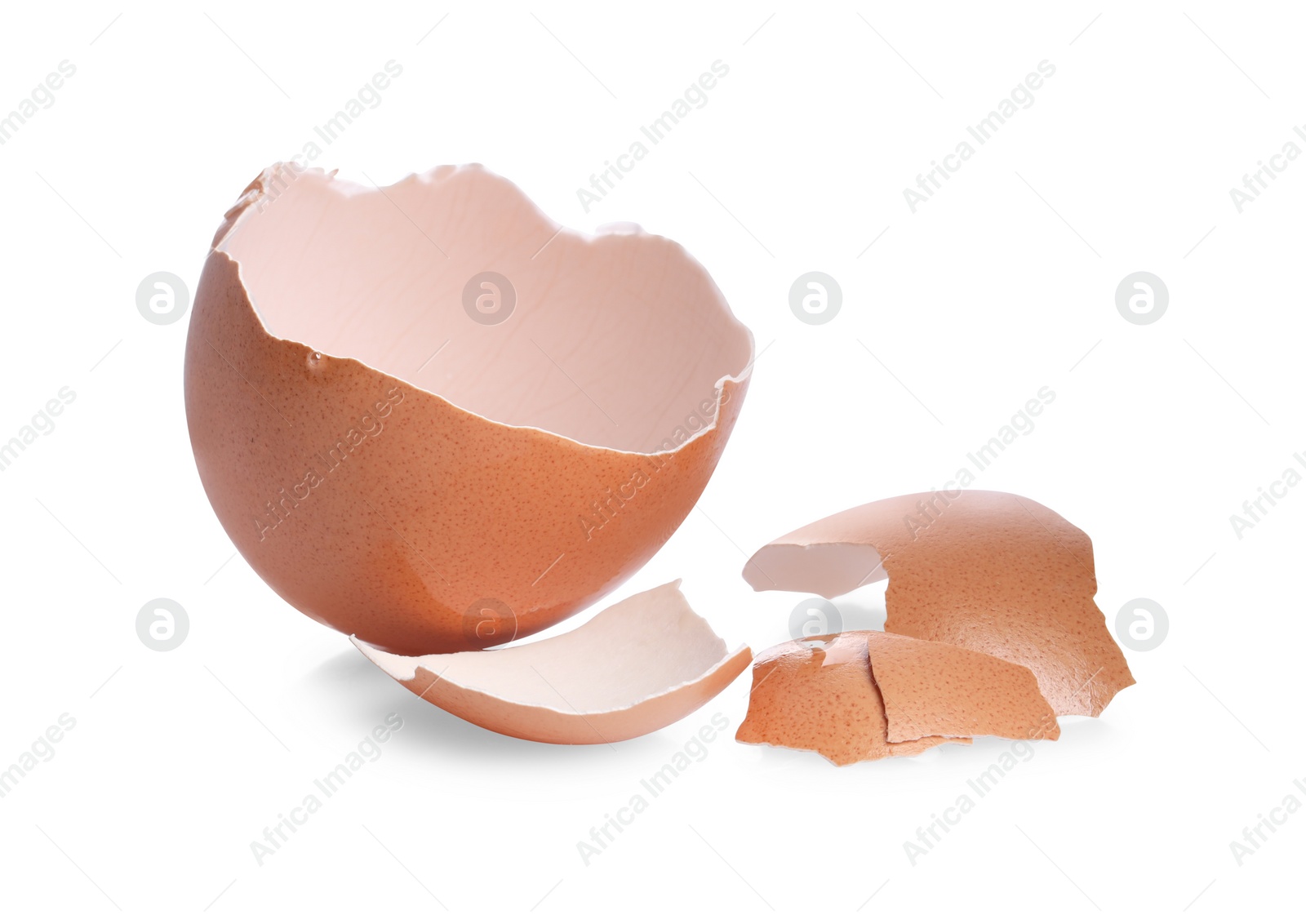 Photo of Shells of chicken egg isolated on white