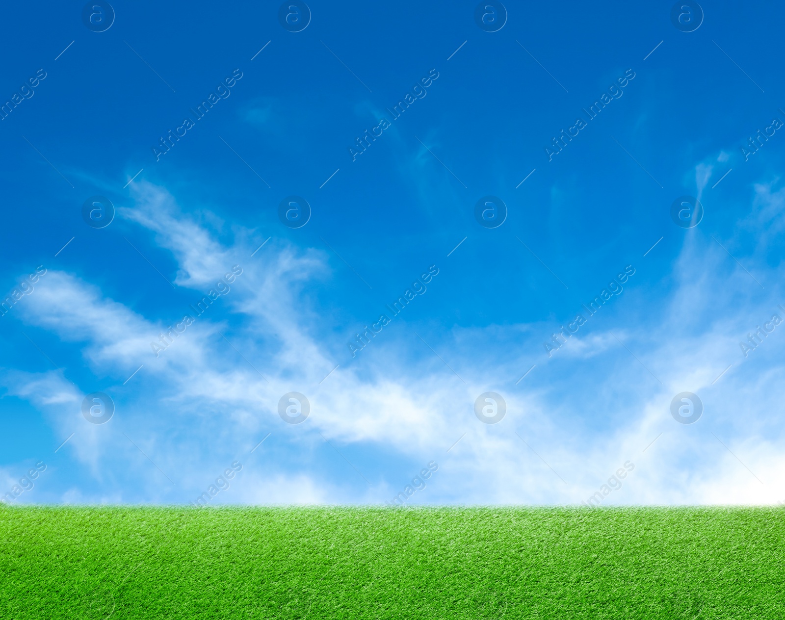 Image of Green grass under blue sky with clouds