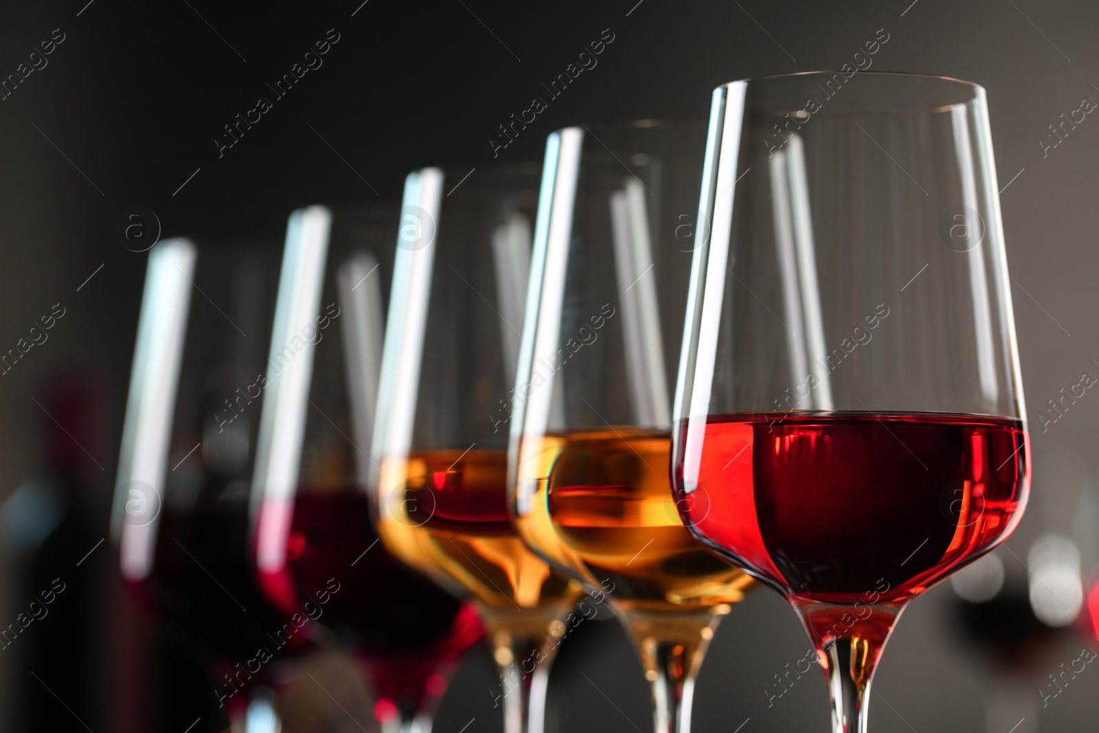 Photo of Row of glasses with different wines against blurred background, closeup