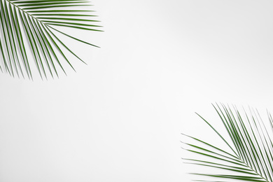 Photo of Beautiful lush tropical leaves on white background, top view
