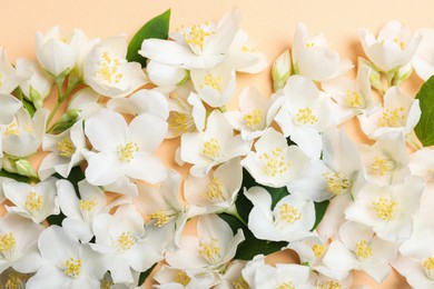 Photo of Beautiful jasmine flowers on beige background, top view