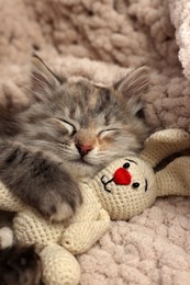 Photo of Cute fluffy kitten with toy sleeping on soft plaid