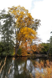 Picturesque view of river and trees in beautiful park. Autumn season