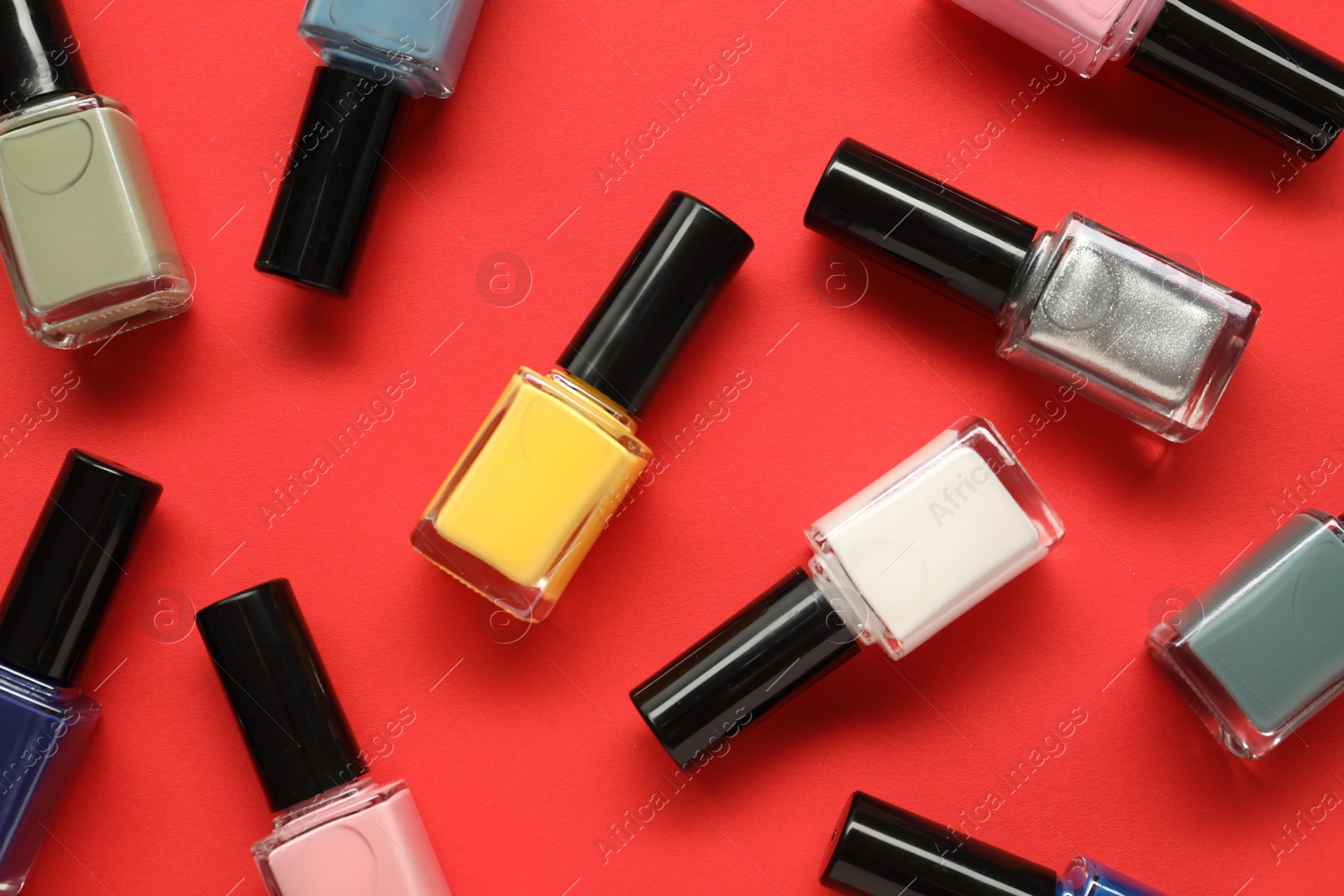 Photo of Bright nail polishes in bottles on red background, flat lay