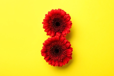 Photo of 8 March greeting card design with red gerberas on yellow background, flat lay. International Women's day