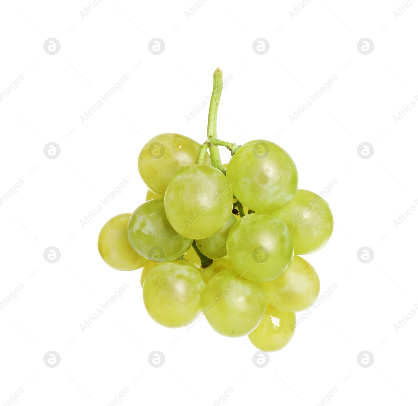 Photo of Bunch of fresh ripe juicy grapes isolated on white