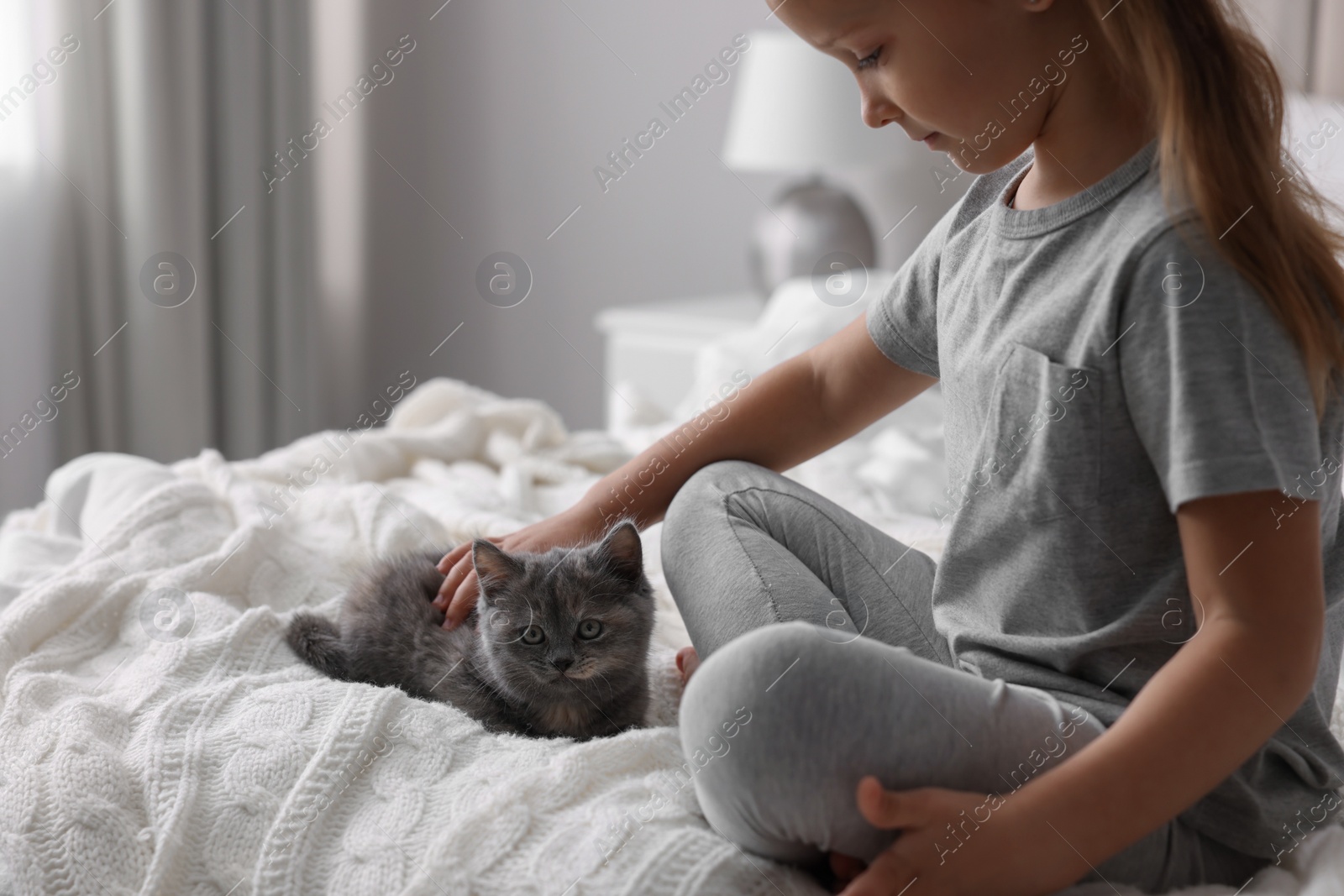 Photo of Cute little girl with kitten on bed at home. Childhood pet