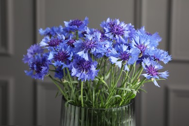 Photo of Bouquet of beautiful cornflowers in glass vase against grey wall, closeup