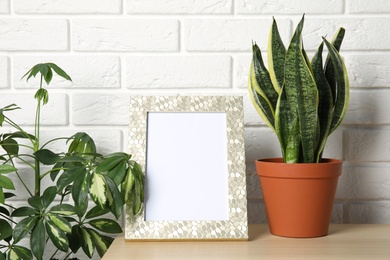 Photo of Exotic plants and photo frame near brick wall, space for design. Home decor