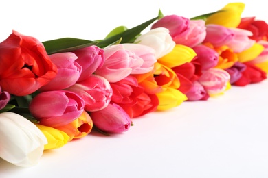 Photo of Beautiful bright tulips on white background. Spring flowers