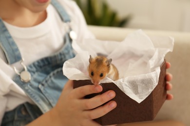 Photo of Little girl holding box with hamster at home, closeup