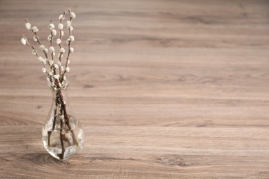 Photo of Beautiful pussy willow branches in vase on wooden table, space for text