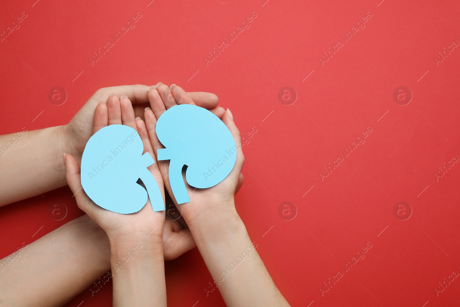 Photo of People holding paper cutout of kidneys on red background, top view. Space for text