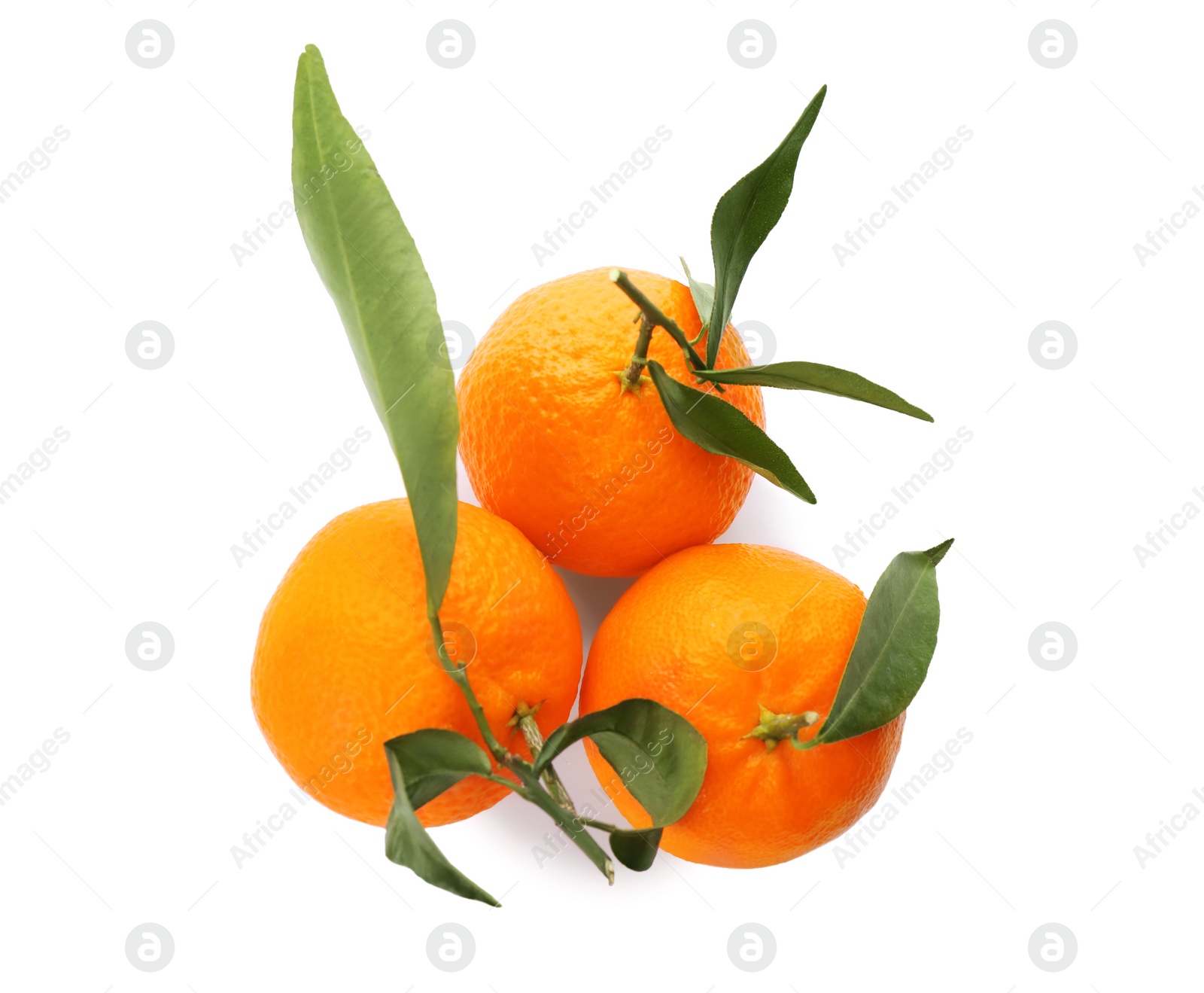 Photo of Whole fresh tangerines with green leaves on white background, top view