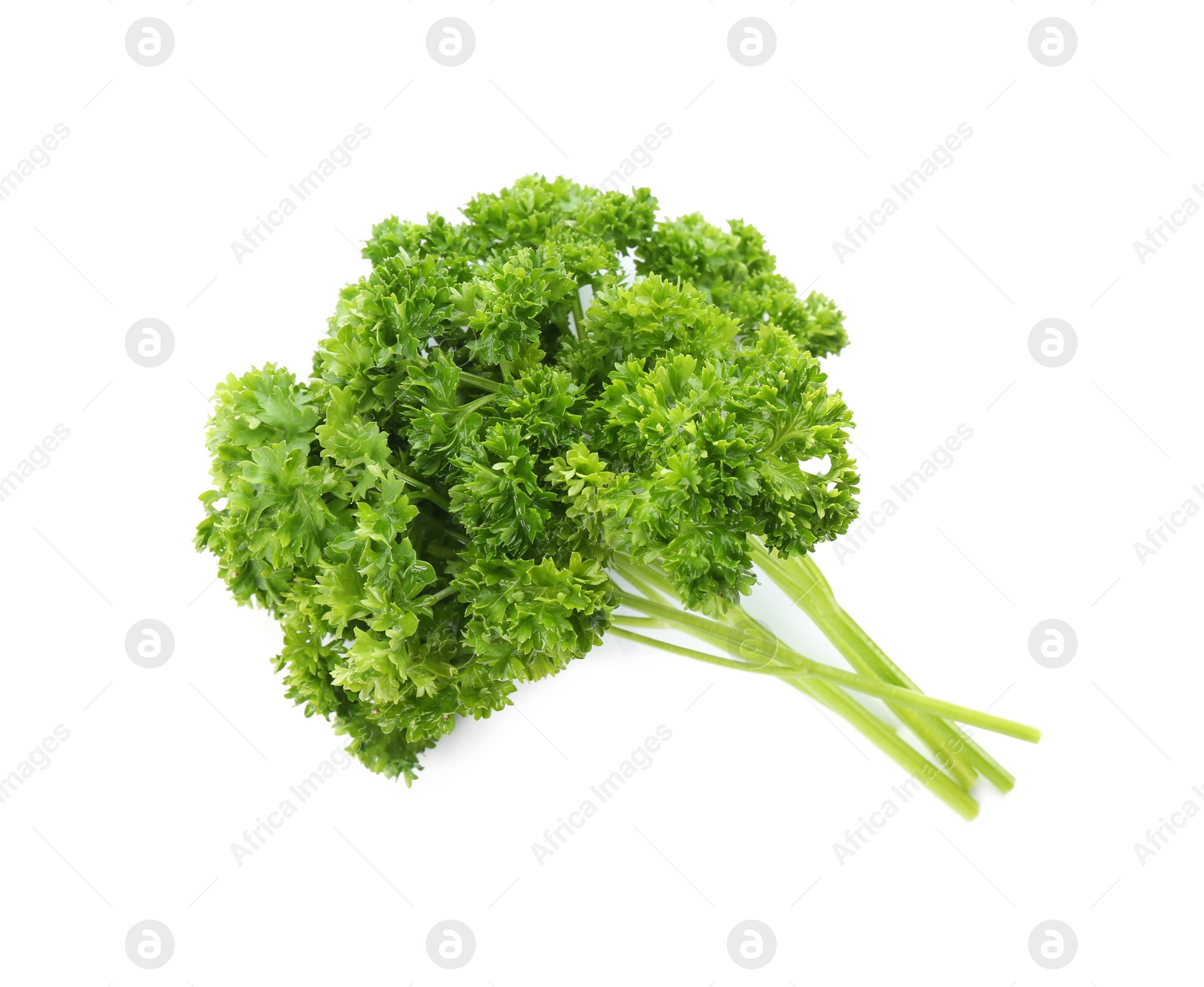 Photo of Fresh green curly parsley on white background, top view