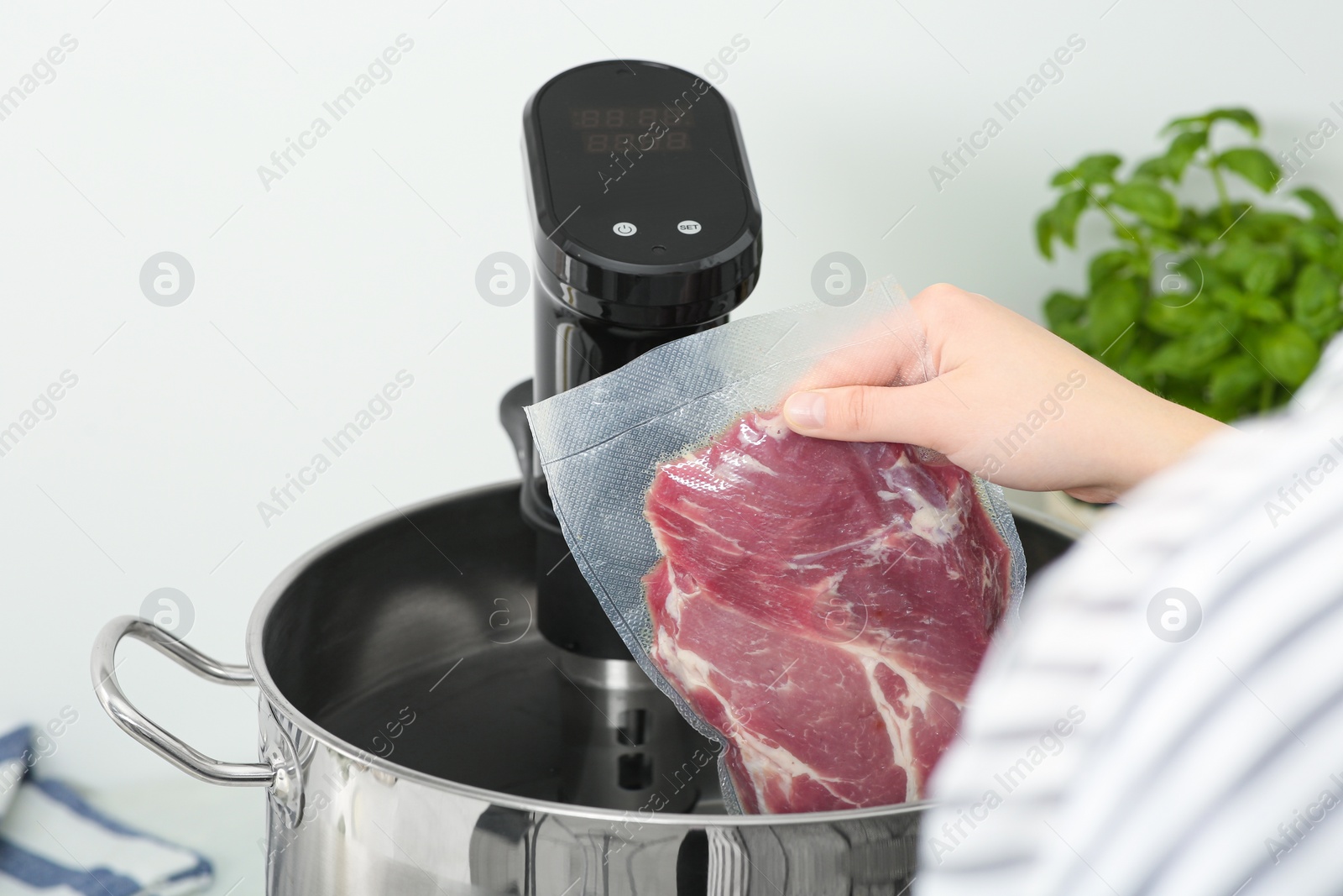 Photo of Woman putting vacuum packed meat into pot in kitchen, closeup. Thermal immersion circulator for sous vide cooking