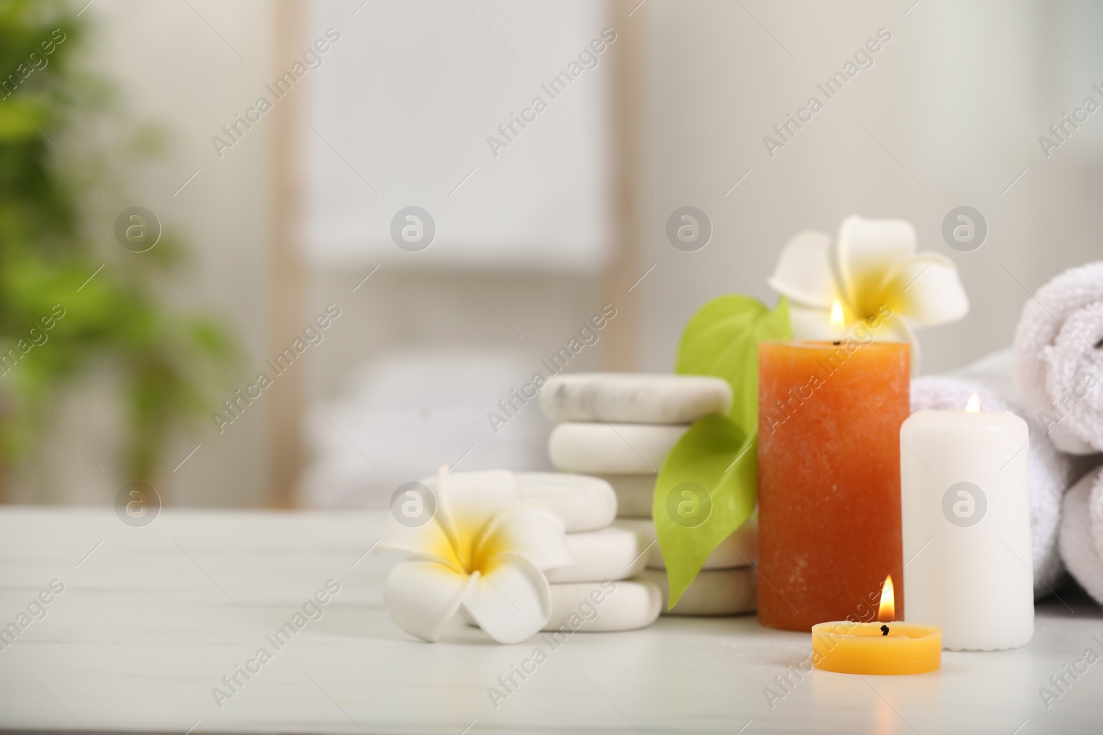 Photo of Composition with different spa products and plumeria flowers on white table indoors, space for text