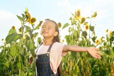 Photo of Cute little girl with sunflowers outdoors. Child spending time in nature