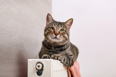 Photo of Cute tabby cat on heating radiator with plaid indoors