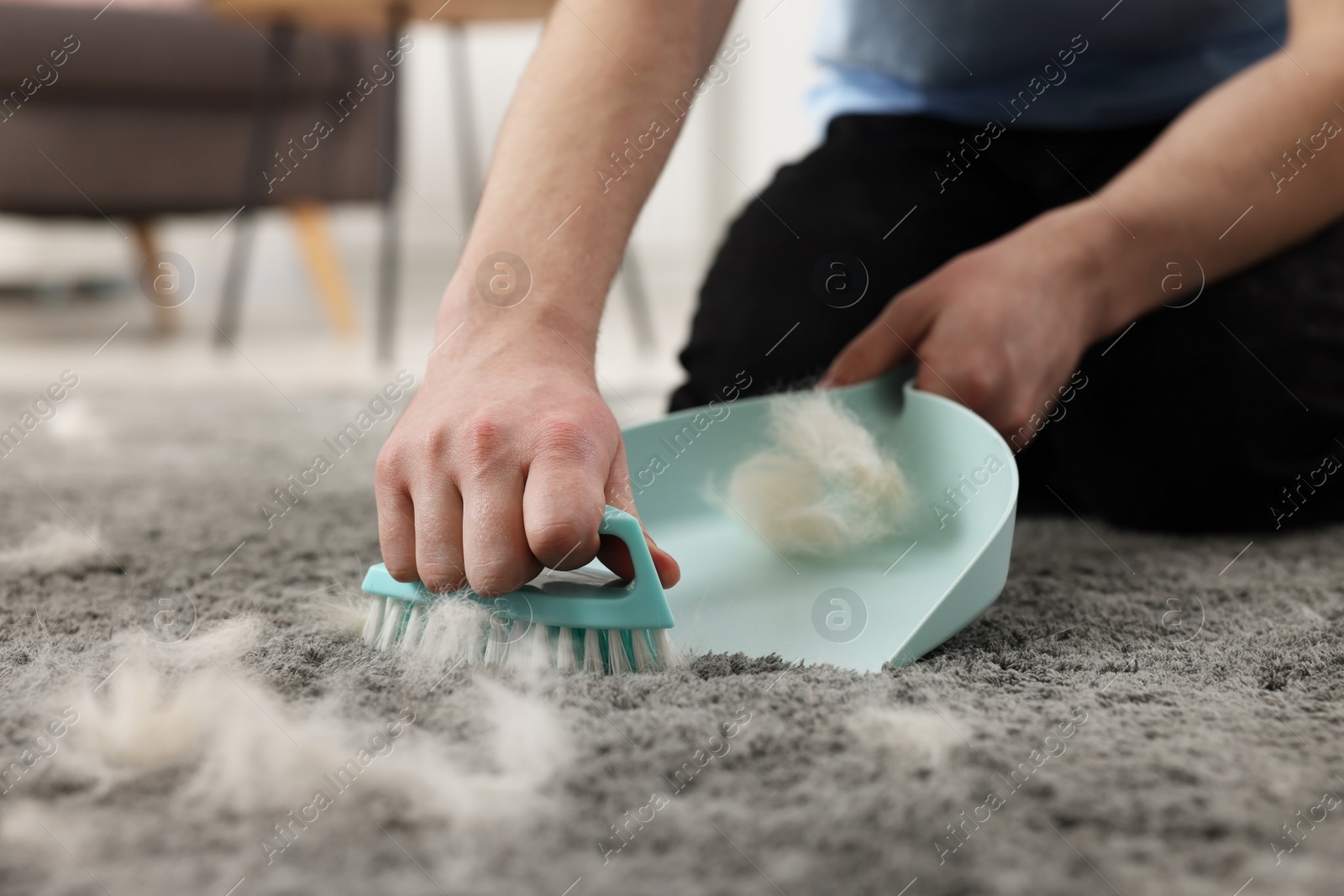 Photo of Man with brush and pan removing pet hair from carpet at home, closeup