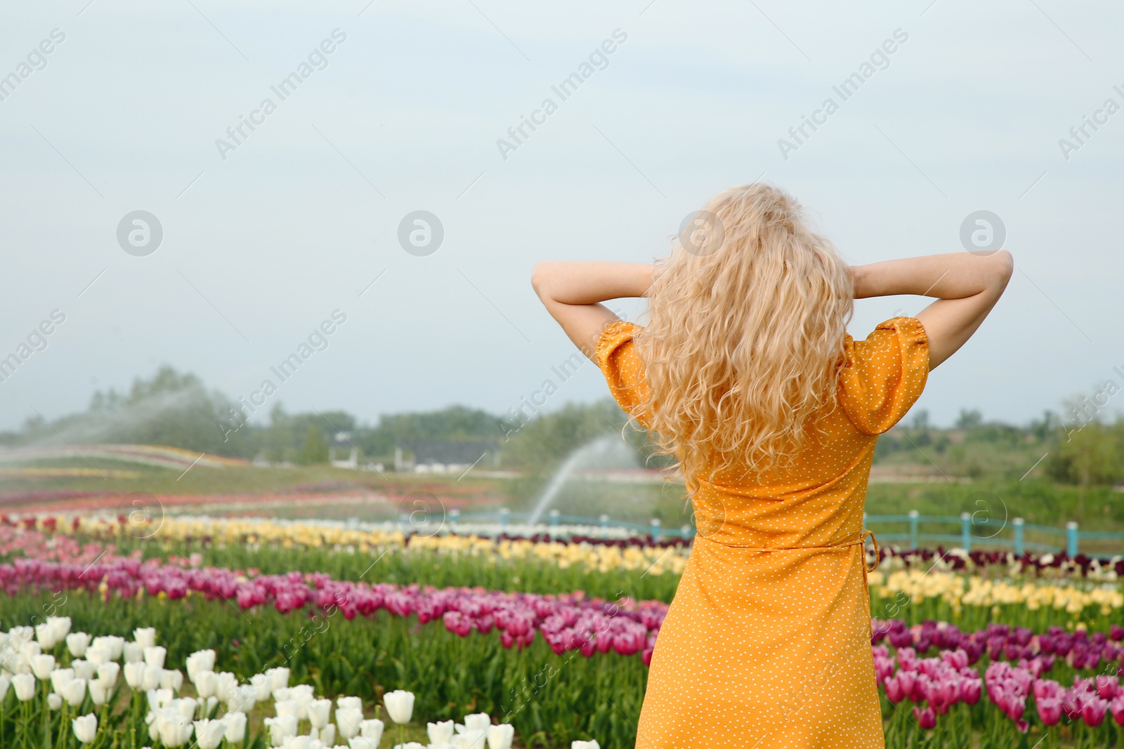 Photo of Woman in beautiful tulip field, back view