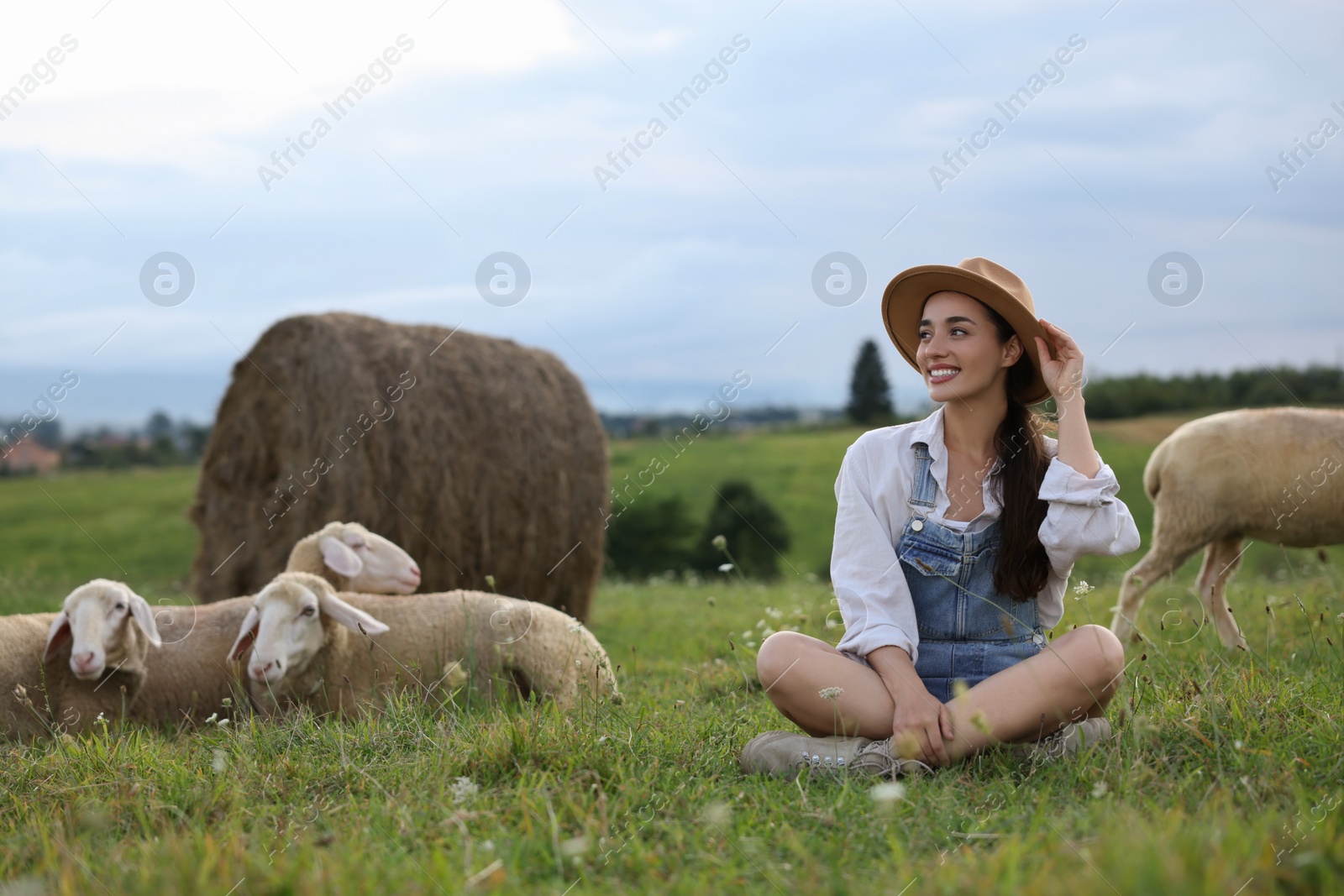 Photo of Smiling woman with sheep on pasture at farm