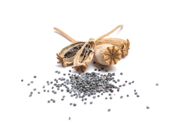 Dry poppy heads with seeds on white background