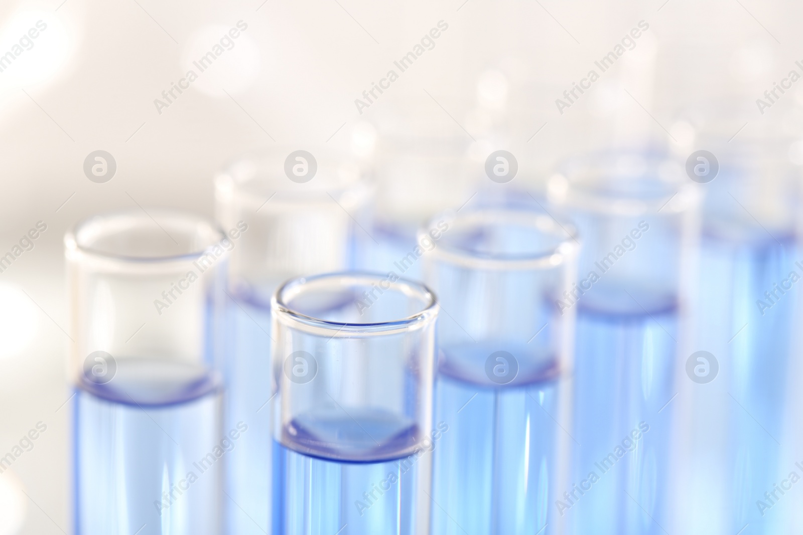 Photo of Laboratory analysis. Many glass test tubes with light blue liquid on blurred background, closeup