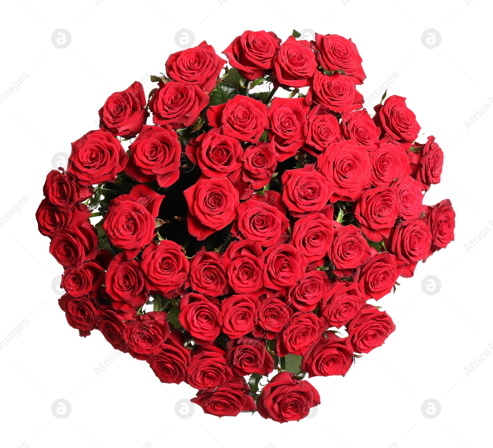 Photo of Luxury bouquet of fresh red roses isolated on white, top view